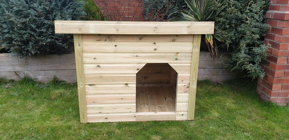 Dog Kennel - Pent